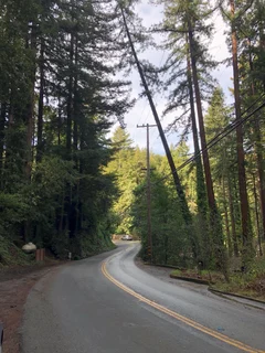 Easy Zayante Road