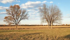 Illustrative Purpose - Not the Actual Property