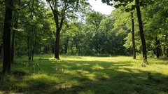 Illustrative Purpose - Not the Actual Property