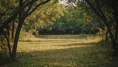 Illustrative Purpose - Not the Actual Property
