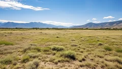 Illustrative Purpose - Not the Actual Property