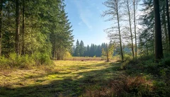 Illustrative Purpose - Not the Actual Property