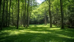 Illustrative Purpose - Not the Actual Property