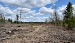 Illustrative Purpose - Not the Actual Property