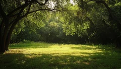Illustrative Purpose - Not the Actual Property