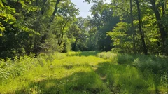 Illustrative Purpose - Not the Actual Property
