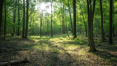Illustrative Purpose - Not the Actual Property