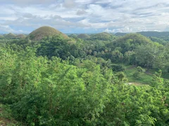 Look at that vegetation