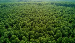 Illustrative Purpose - Not the Actual Property