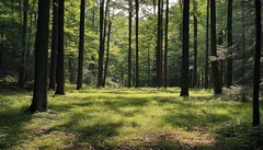 Illustrative Purpose - Not the Actual Property