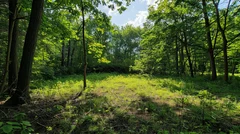 Illustrative Purpose - Not the Actual Property