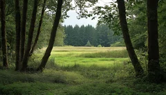 Illustrative Purpose - Not the Actual Property