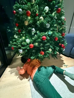 xmas discoveries