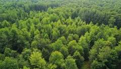 Illustrative Purpose - Not the Actual Property