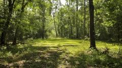 Illustrative Purpose - Not the Actual Property