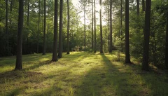 Illustrative Purpose - Not the Actual Property