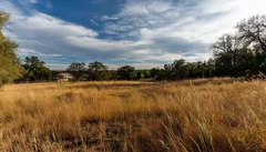 Illustrative Purpose - Not the Actual Property