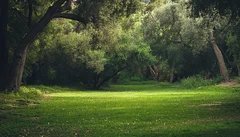 Illustrative Purpose - Not the Actual Property