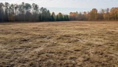 Illustrative Purpose - Not the Actual Property