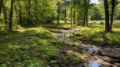 Illustrative Purpose - Not the Actual Property