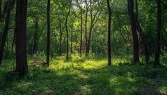 Illustrative Purpose - Not the Actual Property