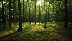 Illustrative Purpose - Not the Actual Property