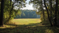 Illustrative Purpose - Not the Actual Property
