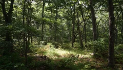 Illustrative Purpose - Not the Actual Property