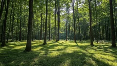 Illustrative Purpose - Not the Actual Property