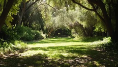 Illustrative Purpose - Not the Actual Property